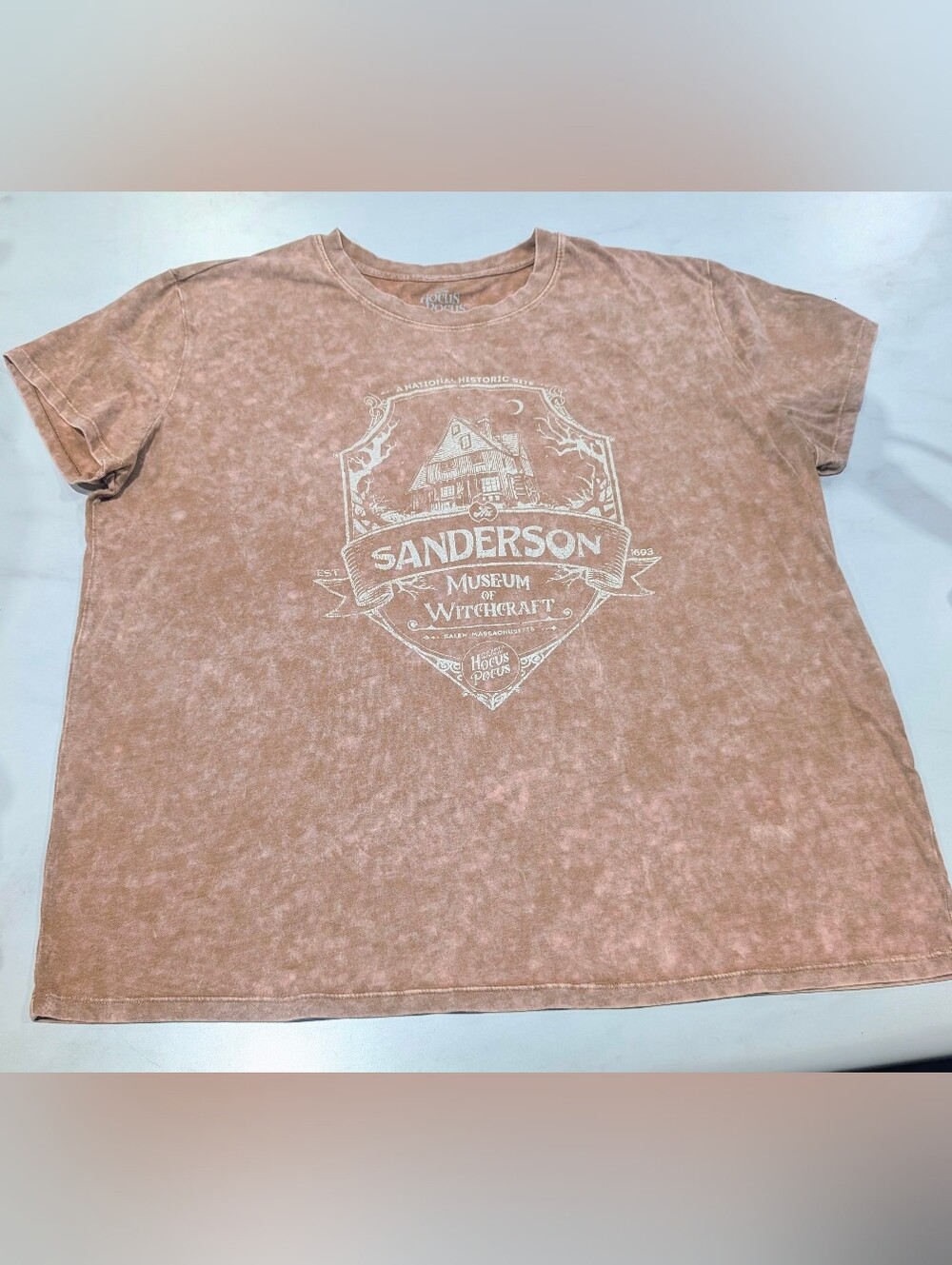 Disney Sanderson Graphic Tee - Dusty Rose Mineral Wash